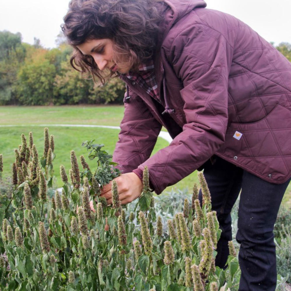 Carhartt Women's Marlington Jacket